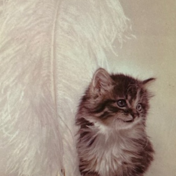 Aidan Mattox Cocktail dress🍸 - Picture 13 of 13